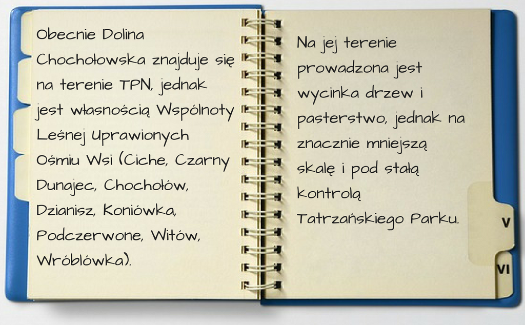 dolina chochołowska (2)