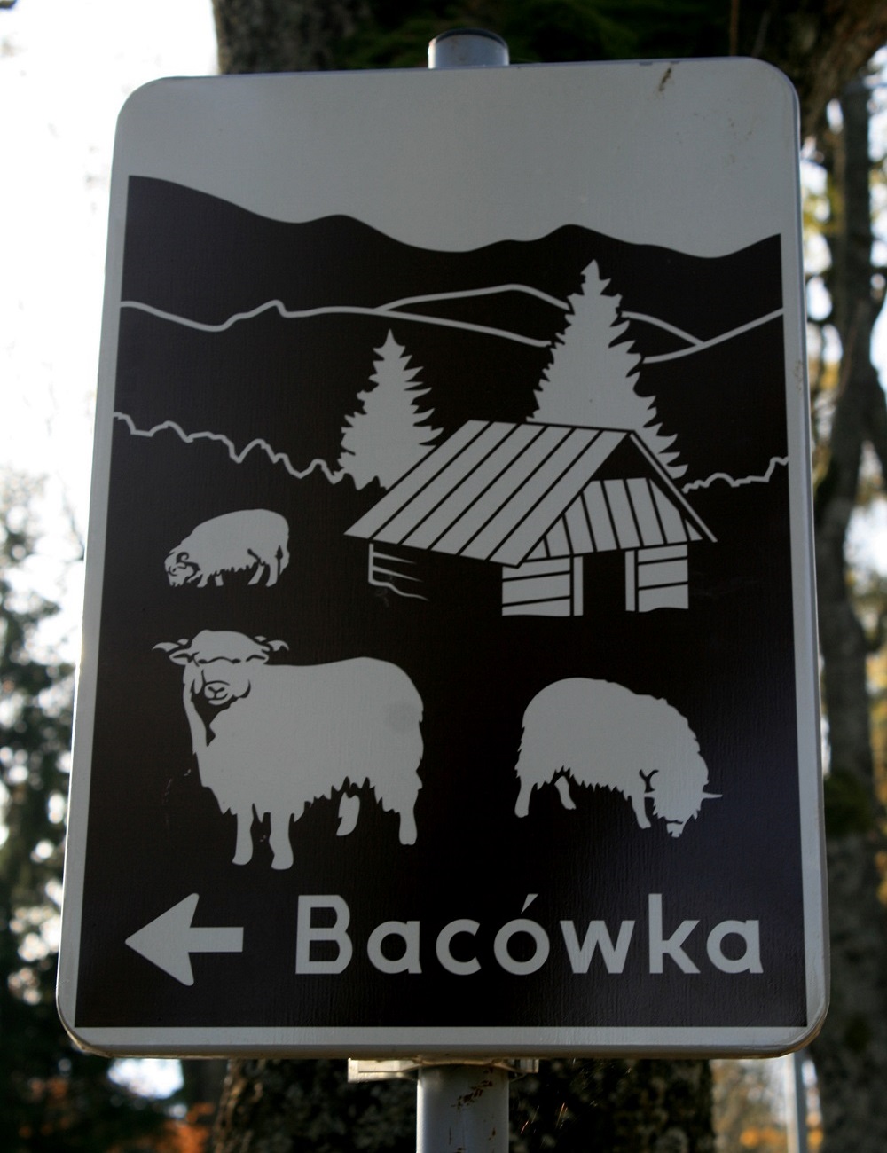 zakopane bacówka