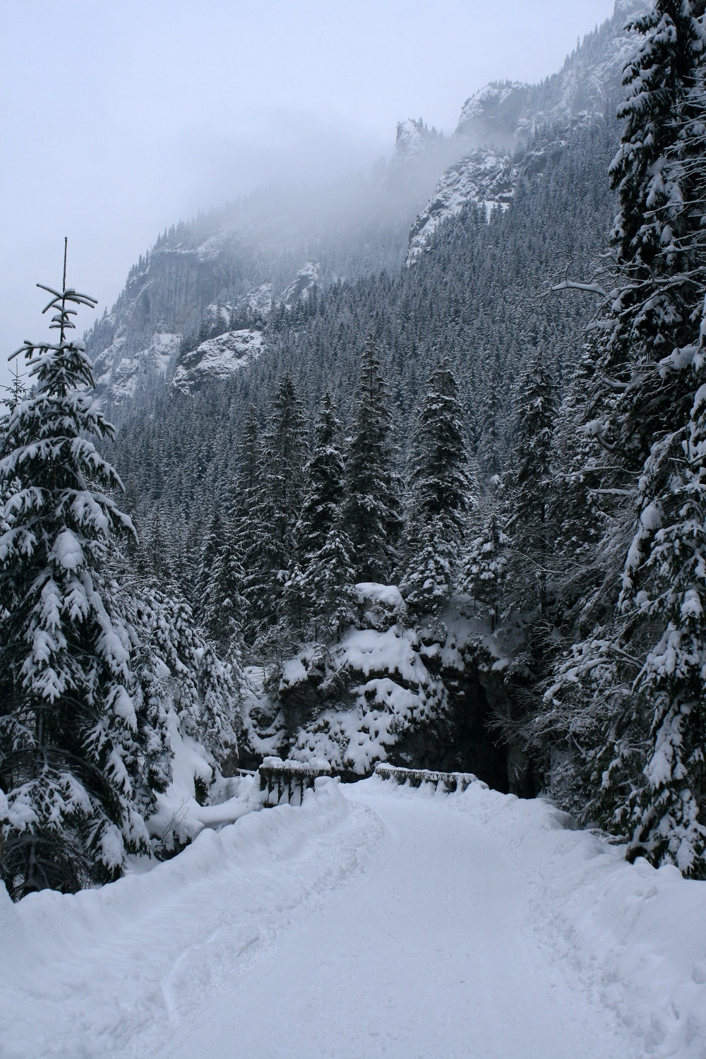 tatras valley