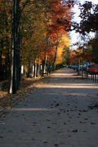 zakopane trasa turystyczna