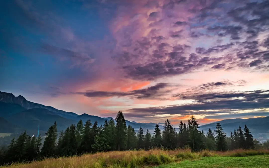 Finally Vacation in Zakopane – events in July 2025